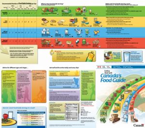 Canada Food Guide