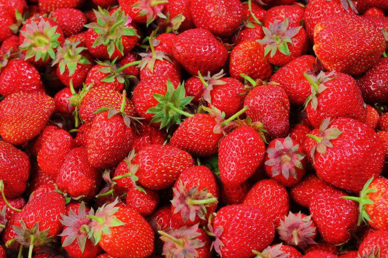 Keto Diet Strawberries