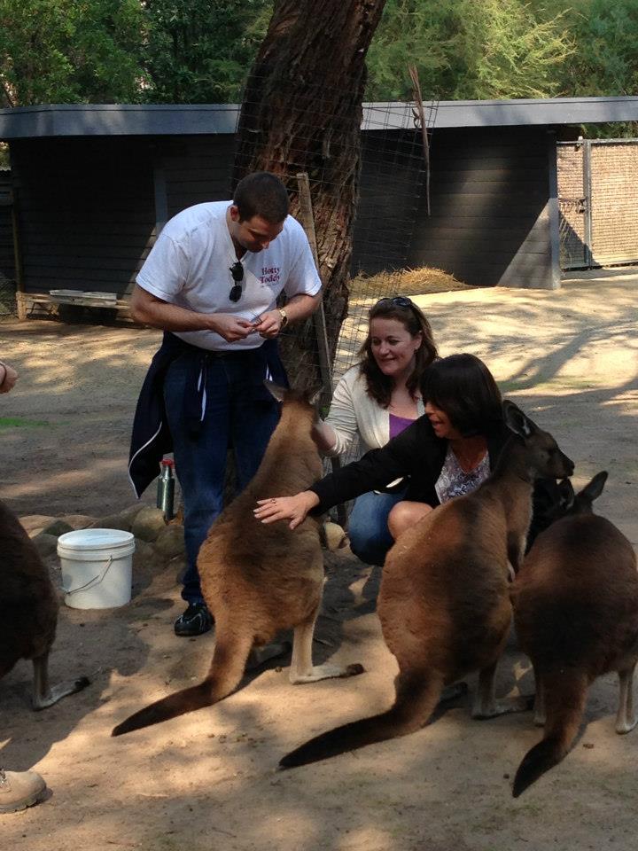 Australia with Kangaroos and Emus