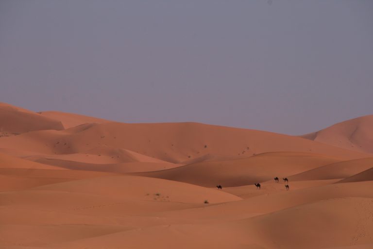 morocco sand dunes